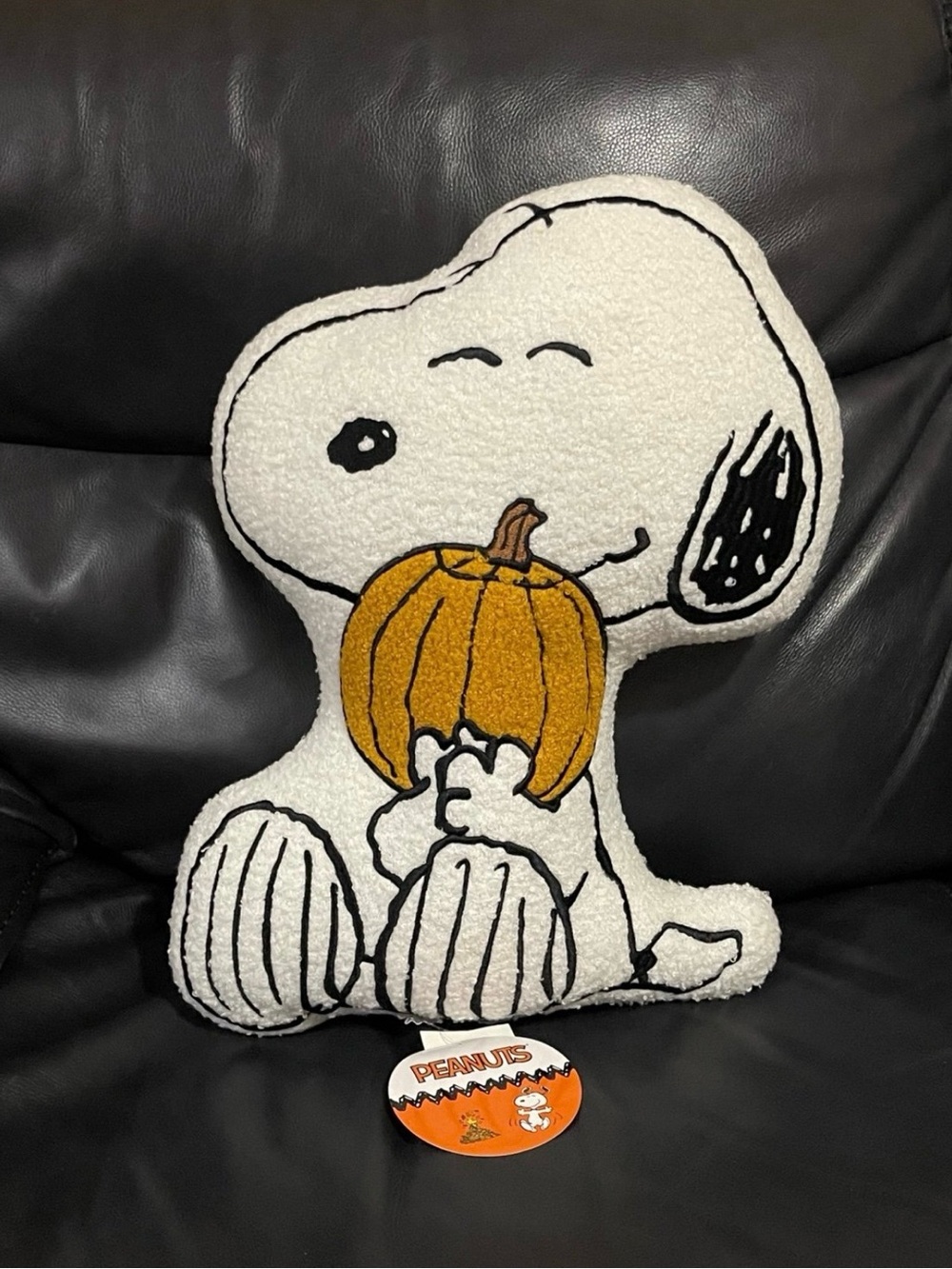 PEANUTS Snoopy Sherpa Fall Pillow Peanuts Fall Pillow